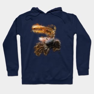 Fiddler Crab Hoodie